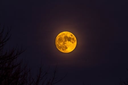 Full moon - yellow, full moon, night, luna, black