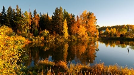 Autumn moods - Trees, Reflection, Lake, Fall