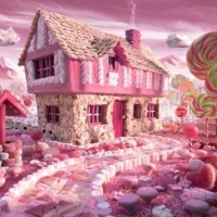 Candy House