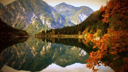 Mountain Reflection in the Lake - trees, Nature, lake, forest, mountains, reflection