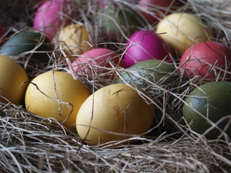 Happy Easter! - yellow, nest, pink, easter, egg