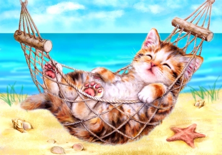 Kitten on holiday