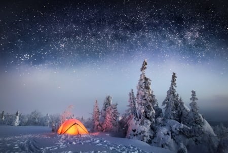 Winter Night - Forest, Tent, Snow, Stars