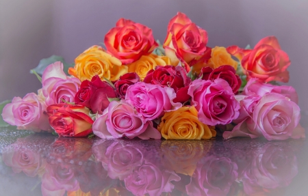 Colorful reflections - reflections, colorful, flowers, roses