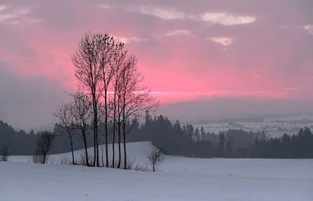 Winter sunset - snow, winter, sunset, trr