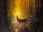 Magical deer