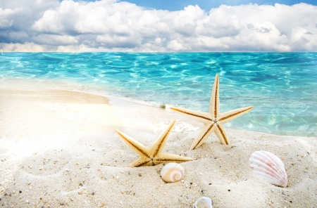 Happy Summer! - beach, vara, water, summer, white, starfish, cloud, blue, sand, sea