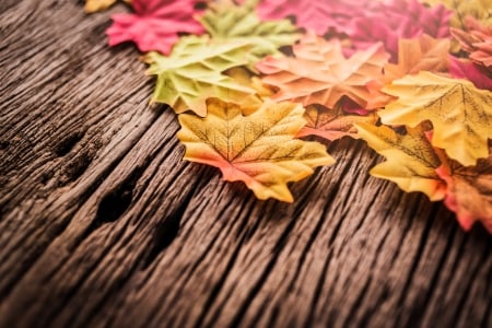 Happy Autumn! - yellow, autumn, wood, brown, leaf, card, pink