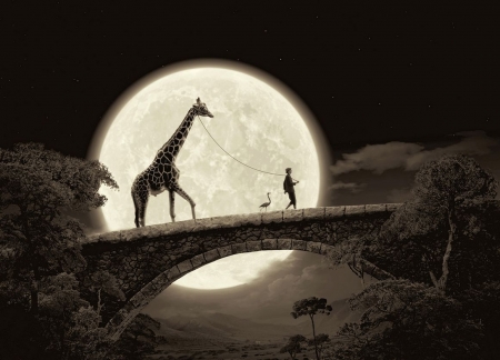 :) - moon, thomas herbrich, creative, fantasy, giraffe, situation, man, luna, bridge