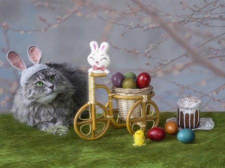 Happy Easter! - cat, easter, pisica, bunny, daykiney, ears, animal, egg, cute