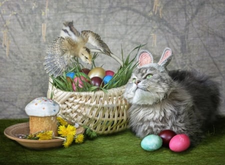 Happy Easter! - chicken, cat, easter, egg, basket, pisica, daykiney