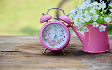 Spring time - pink, clock, green, spring, flower