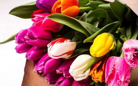 Spring Bouquet - tulips, colors, flowers, blossoms