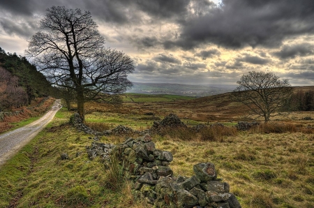 Country Road - nature, tree, cloud, country