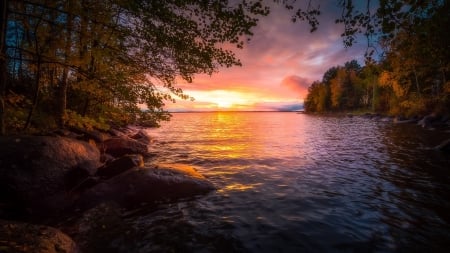 Sunset Over the Autumn Forest