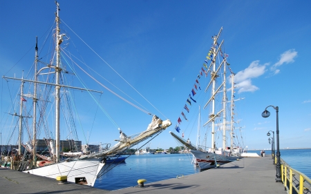 Tall Ships in Harbor