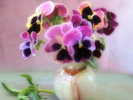 PRETTY PANSIES