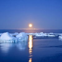 Beach in Winter