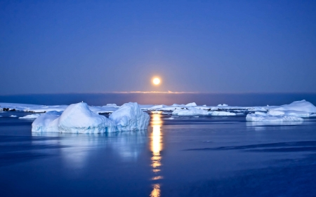 Beach in Winter - antartica, ice, nature, beach, reflection, sun