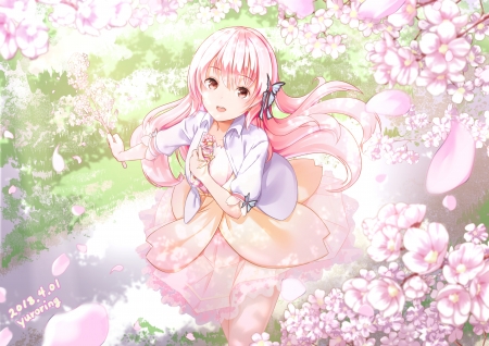 Cherry Blossoms - pretty, cherry blossom, sakura, girl, orginal, spring, long hair, pink