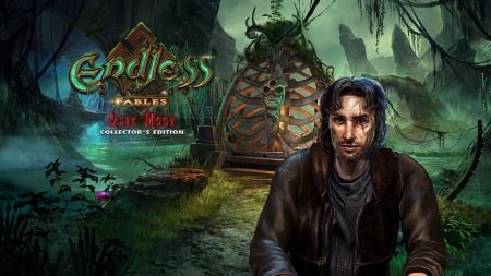 Endless Fables 3 - Dark Moor11 - hidden object, cool, video games, fun, puzzle