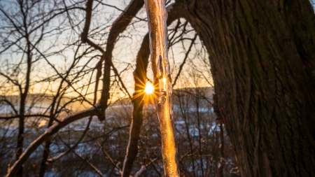 Sunset & Icicle - trunk, sunlight, trees, branch, winter, Nature, wood, sunset, icicle