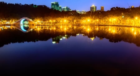 Beautiful Reflection - lake, gold, night, reflection, park, bridge