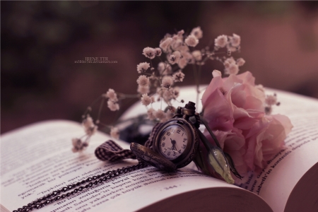 ♥ - abstract, rose, photography, book