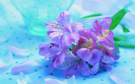 Purple spring flowers - beauty, nature, purple, photography, flowers, bouquet, still life