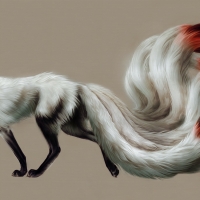 Nine tails fox