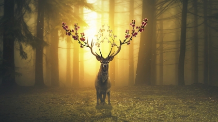 Spring deer - cerb, blossom, spring, forest, horns, fantasy, caprioara, animal, deer, luminos