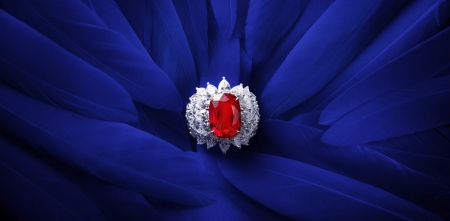 Ring - white, stone, red, blue, feather, jewel, ring