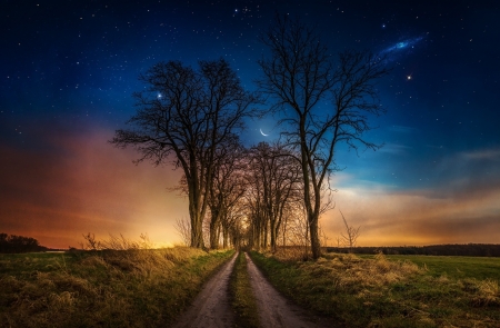 â™¥ - sky, moon, orange, tree, stars, night, blue