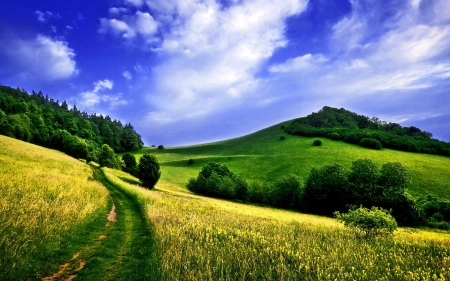 Way In Landscape - clouds, path, trees, nature, green, landscape, slope, mountains