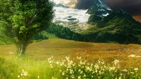 Spring Warm Up - forests, snow, glacier, field, mountains, meadow, flowers, spring