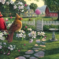 Cardinal in the Apple Blossoms