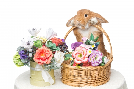 Happy spring! - easter, basket, rabbit, flower, bunny