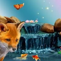 Fox by the Falls