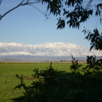 San Bernardino Mountains 2