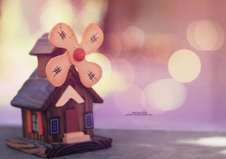 â™¥ - home, abstract, photography, soft