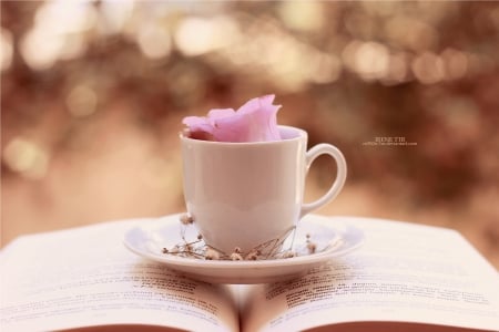 ♥ - abstract, pink, cup, book