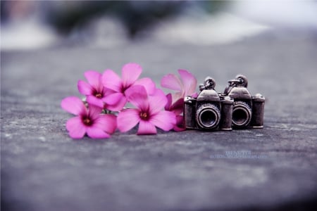 â™¥ - abstract, flowers, pink, photography