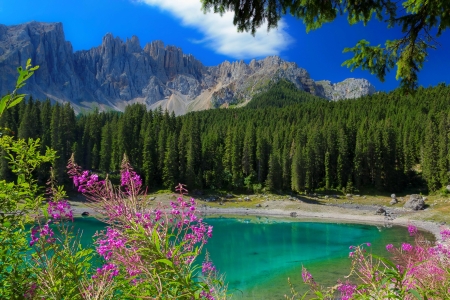 Mount Scenery - view, lake, trees, mountain, forest, beautiful, wildflowers