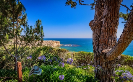 Beautiful sea view - wildflowers, horizons, coast, beautiful, view, sea, sky