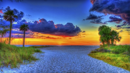 Clouds at Dawn - clouds, river, trees, sunset, nature, sky, palm