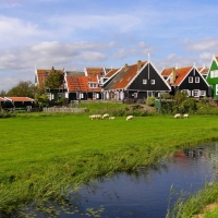 Netherlands' Landscape