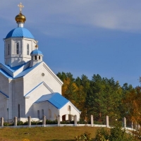 The Orthodox Church