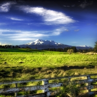 Landscape With Meadow