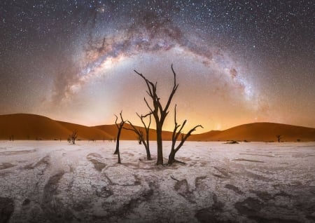 Milky Way over Deadvlei in Namibia - fun, stars, cool, galaxies, space