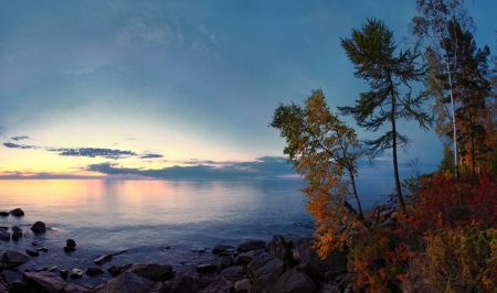 Magical Sky - nature, sky, tree, blue